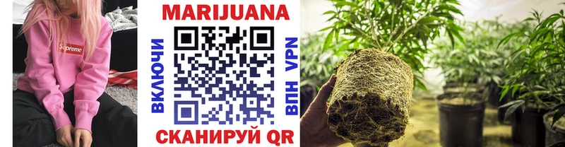 Где найти наркотики Славгород Каннабис  Alpha-PVP  МЕФ  Cocaine 
