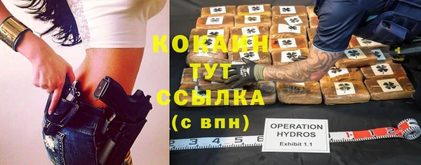 хмурый Няндома