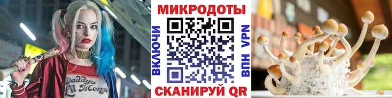 маркетплейс официальный сайт  Славгород  Галлюциногенные грибы Cubensis 